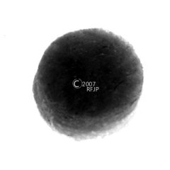 MB GPW, MB GPW PartsClutch control tube felt (2req) -A176,MB,GPW,A176 Jeep G503 RFJP VintageJeeps