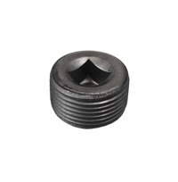 MB GPW Differential drain plug -636577 ,Jeep,G503,RFJP,VintageJeeps